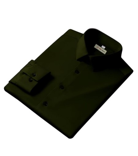 Men's Regular Fit green Formal Shirt