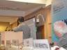 DSC_0192 (3)